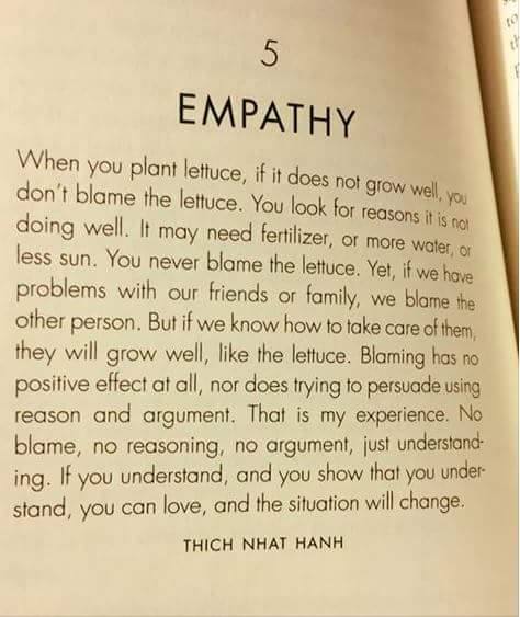 Culture of Empathy Builder: Thich Nhat Hanh